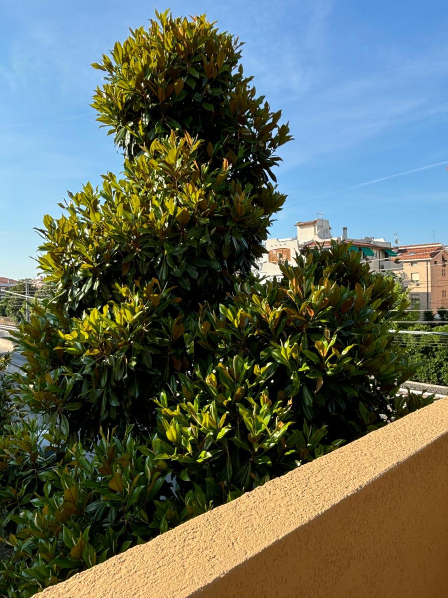 Lugano 41 By Alehotels Apartment